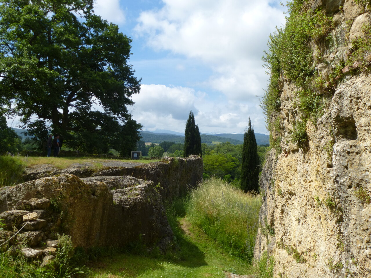 P1050060