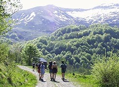 Wandelen